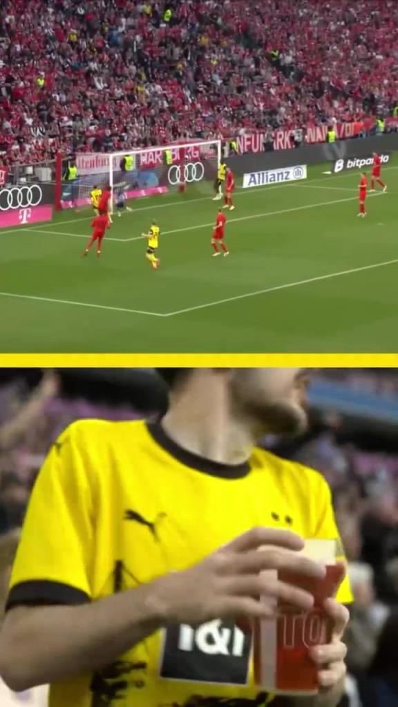 勇者無(wú)懼！這是真多特球迷！在拜仁球迷區(qū)一個(gè)人肆意慶祝！